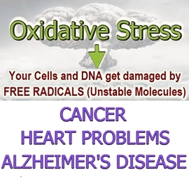 270 Oxidative Stress new 1 JPEG 270 Oxidative Stress new 1 JPEG