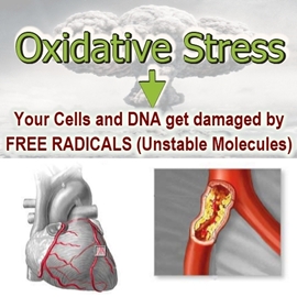 270 Oxidative Stress new 6 JPEG 270 Oxidative Stress new 6 JPEG